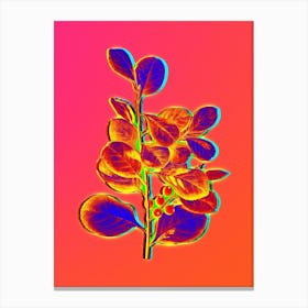 Neon Lingonberry Evergreen Shrub Botanical in Hot Pink and Electric Blue n.0405 Canvas Print