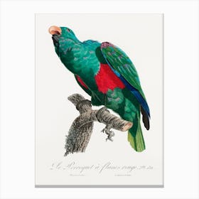 The Eclectus Parrot, From Natural History Of Parrots, Francois Levaillant Canvas Print