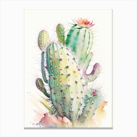 Trichocereus Cactus Storybook Watercolours Canvas Print