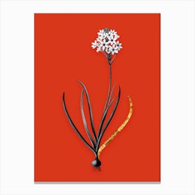 Vintage Arabian Starflower Black and White Gold Leaf Floral Art on Tomato Red n.0150 Canvas Print
