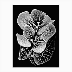 Purslane Leaf Linocut 1 Canvas Print
