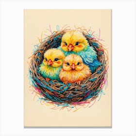 Three Chicks In A Nest Canvas Print