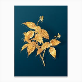 Vintage Tradescantia Erecta Botanical in Gold on Teal Blue Canvas Print