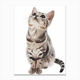 American Shorthair Cat Clipart Illustration 4 Canvas Print