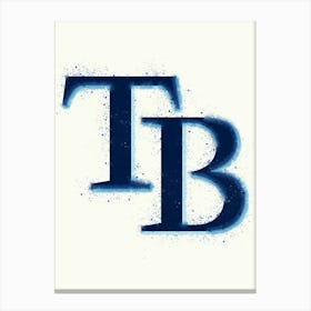 Tampa Bay Rays Canvas Print