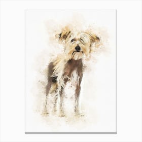 Chinese Crested Dog Canvas Print
