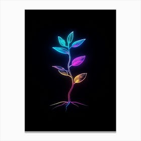 Neon Tree Canvas Print