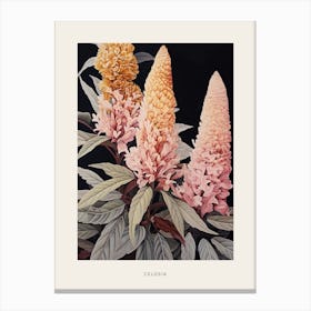 Flower Illustration Celosia 3 Poster Canvas Print