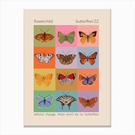 Colours And Butterflies Canvas Print