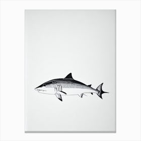 Sand Shark Black & White Drawing Canvas Print