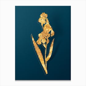 Vintage Dalmatian Iris Botanical in Gold on Teal Blue Canvas Print
