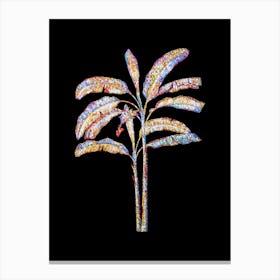 Stained Glass Banana Tree Mosaic Botanical Illustration on Black n.0025 Canvas Print
