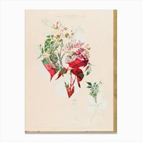 The First Plant · Aufbluehen Canvas Print