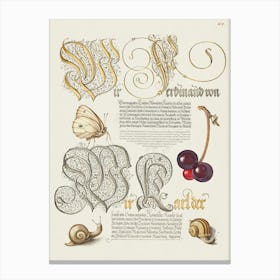Butterfly, Sweet Cherry, And Land Snails From Mira Calligraphiae Monumenta, Joris Hoefnagel Canvas Print