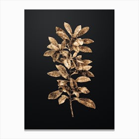 Gold Botanical Firetree Branch Plant on Wrought Iron Black n.0769 Canvas Print