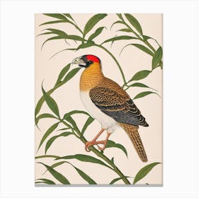 Crested Caracara 2 William Morris Style Bird Canvas Print