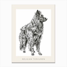 Belgian Tervuren Dog Line Sketch 2 Poster Canvas Print