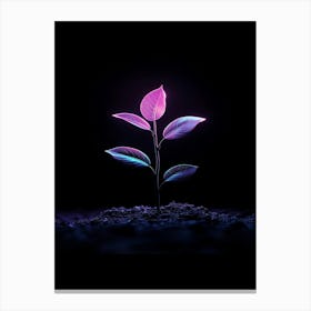 Plant On A Black Background 6 Canvas Print