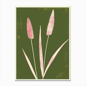 Pink & Green Fountain Grass 1 Canvas Print