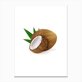 Tropical Coconuts 1 Canvas Print