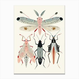Colourful Insect Illustration Cricket 1 Canvas Print