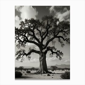 Baobab Tree 1 Canvas Print