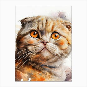 Scottish Shorthair Watercolor Painting animal Canvas Print