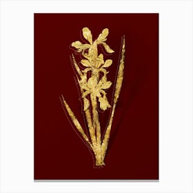 Vintage Yellow Banded Iris Botanical in Gold on Red n.0061 Canvas Print