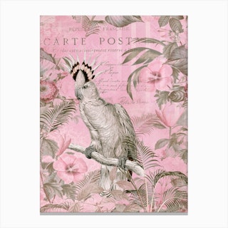 Cockatoo Paradise Pink Canvas Print
