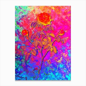 Agatha Rose in Bloom Botanical in Acid Neon Pink Green and Blue Canvas Print