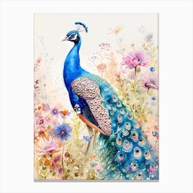 Peacock In A Floral Meadow Watercolour 1 Canvas Print
