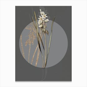 Vintage Botanical Drooping Star of Bethlehem on Circle Gray on Gray n.0071 Canvas Print