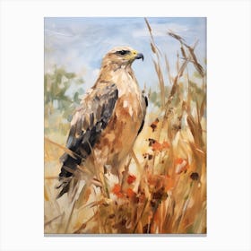 Bird Painting Hawk 2 Canvas Print
