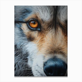 Himalayan Wolf Eye 1 Canvas Print