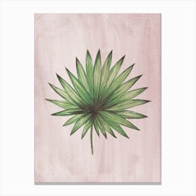 Palm Leaf Canvas Print