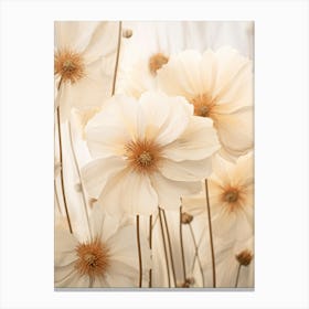 Boho Dried Flowers Cosmos 6 Canvas Print