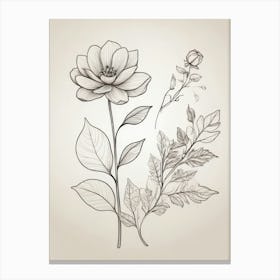 Hand Drawn Flowers And Leaves Canvas Print