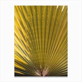 Palm Leaf 2 Canvas Print