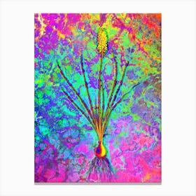 Grape Hyacinth Botanical in Acid Neon Pink Green and Blue Canvas Print