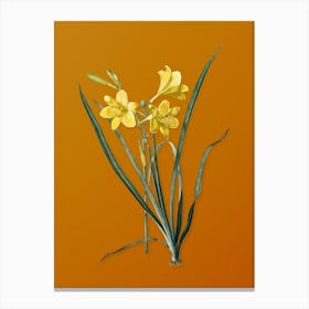 Vintage Daylily Botanical on Sunset Orange n.0030 Canvas Print