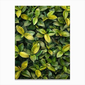 Green Leaves On A Wall Canvas Print