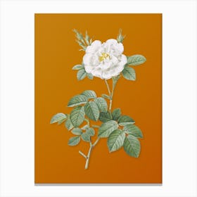 Vintage White Rose Botanical on Sunset Orange n.0177 Canvas Print