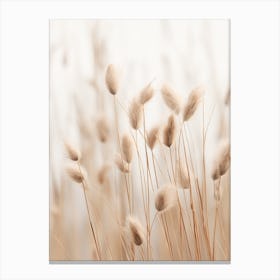 Boho Dried Flowers Flax Flower 1 Canvas Print