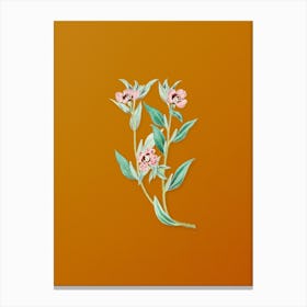 Vintage Long Branched Enothera Botanical on Sunset Orange n.0878 Canvas Print