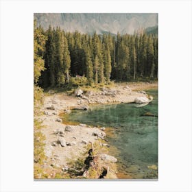 Forest Pond View Canvas Print