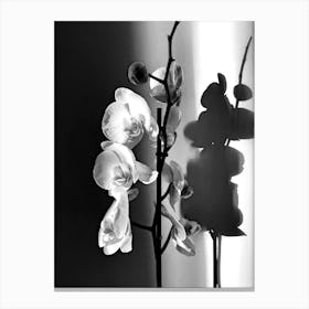 Orchid Art 2 Canvas Print