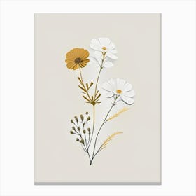 Feverfew Spices And Herbs Retro Minimal 5 Canvas Print