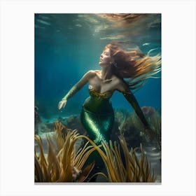 Mermaid-Reimagined 68 Canvas Print