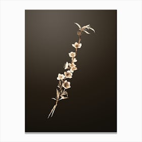 Gold Botanical Peach Blossoms on Chocolate Brown n.3589 Canvas Print