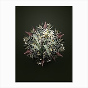Vintage Pancratium Illyricum Flower Wreath on Olive Green n.0797 Canvas Print